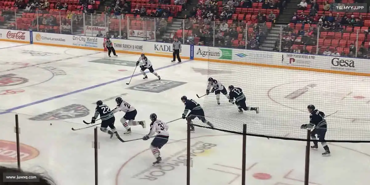 zoty中欧体育官网——🏊花样游泳，水中画卷！